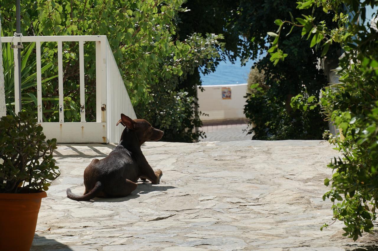 Galini Mare Hotell Agia Galini Exteriör bild